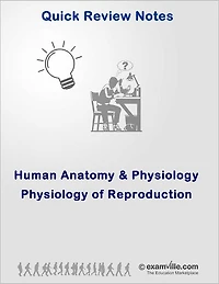 Physiology of Reproduction: Quick Review for Nurses, Nursing and Medical Students