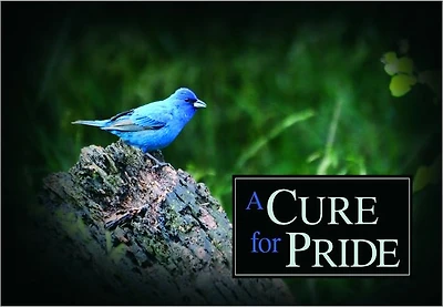A Cure for Pride