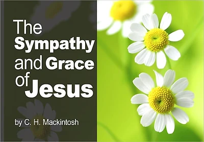 The Sympathy and Grace of Jesus