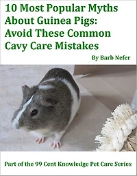 10 Most Popular Myths About Guinea Pigs: Avoid These Common Cavy Care Mistakes