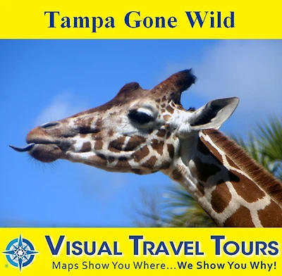TAMPA GONE WILD - A Self-guided Pictorial Walking / Driving Tour