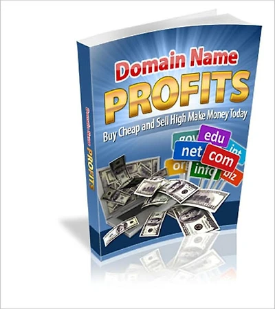 Domain Name Profits