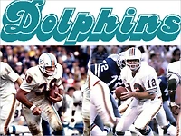 Miami Dolphins 1979: A Game-by-Game Guide