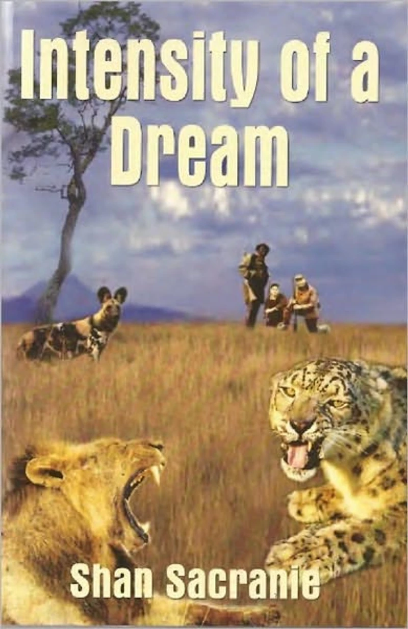 Intensity of a Dream
