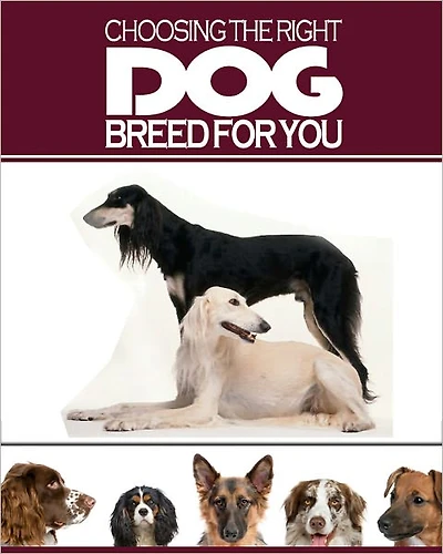 Choosing the Right Dog for You