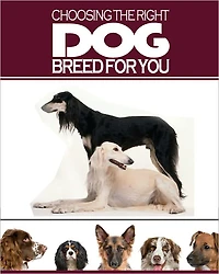 Choosing the Right Dog for You