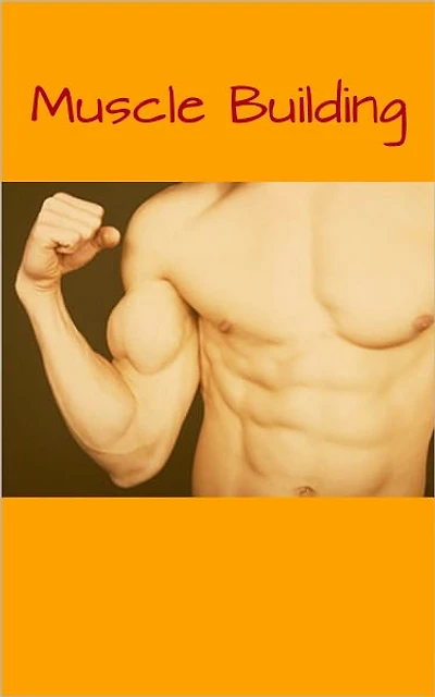 The Basics To Muscle Building