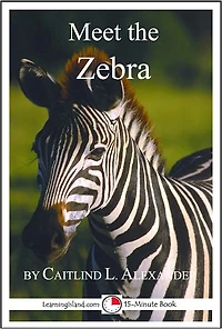 Meet the Zebra: A 15-Minute book for Early Readers