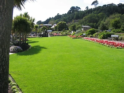 100 Lawn Care Tips EVERY House Owner Should Know!