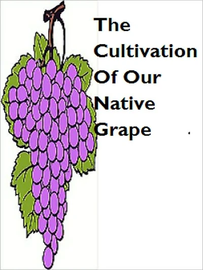 The Cultivation Of The Native Grape