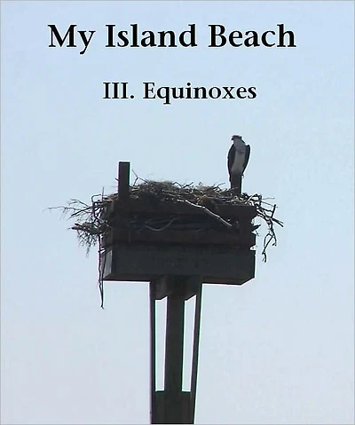 My Island Beach: III. Equinoxes
