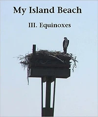 My Island Beach: III. Equinoxes