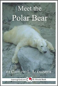 Meet the Polar Bear: A 15-Minute Book for Early Readers