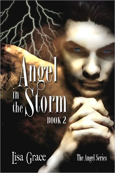 Angel in the Storm, Book 2 by Lisa Grace