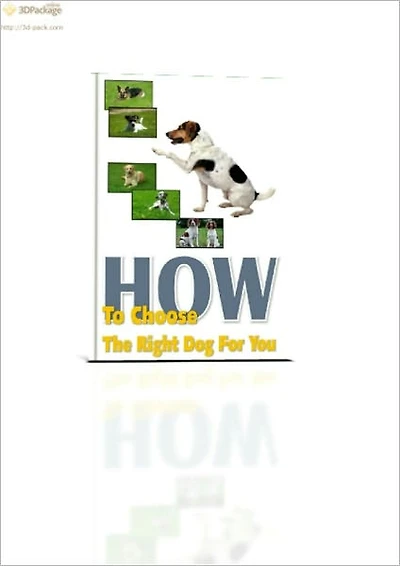 Dog Breeds
