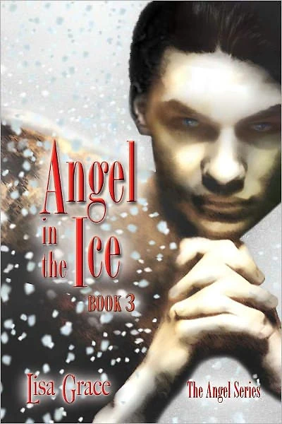 Angel in the Ice, Book 3 by Lisa Grace