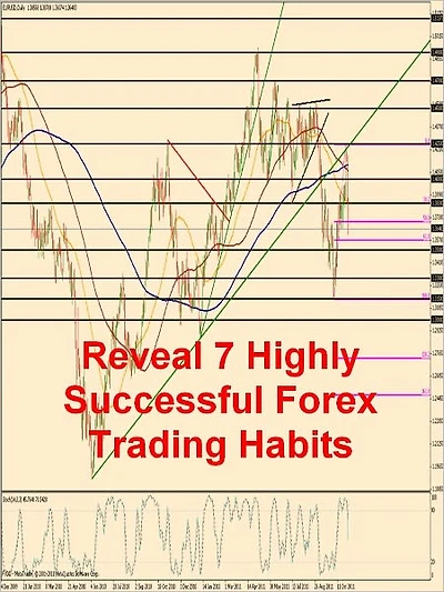 Reveal 7 Highly Successful Forex Trading Habits