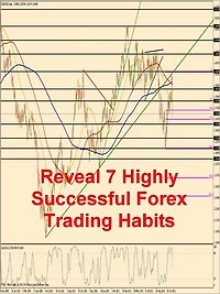 Reveal 7 Highly Successful Forex Trading Habits