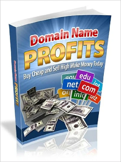 Domain Name Profits
