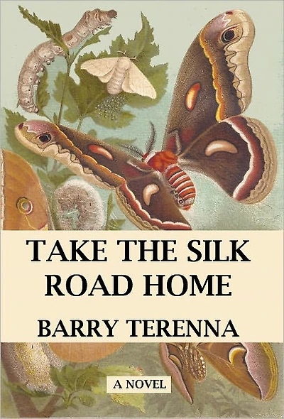 Take the Silk Road Home