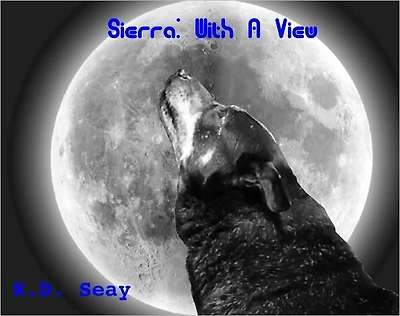 Sierra: With a "View"