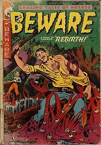 Chilling Tales Of Horror Beware Number 13 Horror Comic Book