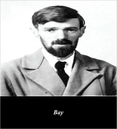 Bay