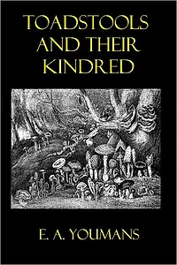 TOADSTOOLS AND THEIR KINDRED