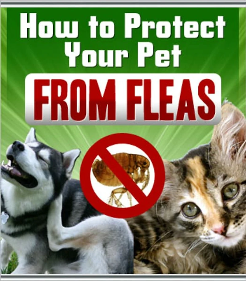 How To Protect Your Pet From Fleas