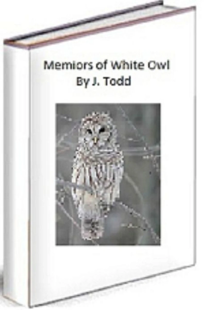 The Memoirs of White Owl