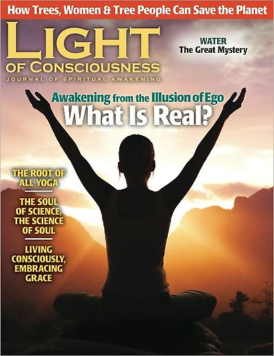 Light of Consciousness - Winter 2011
