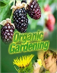 eBook about Organic Gardening - Planting Your Vegetable Garden...