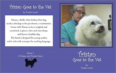 Tristan Goes to the Vet