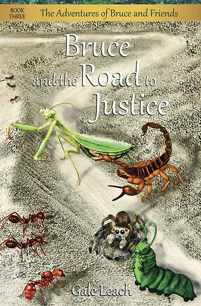 Bruce and the Road to Justice