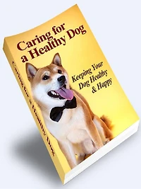 Caring for a Healthy Dog - Keeping Your Dog Healthy & Happy