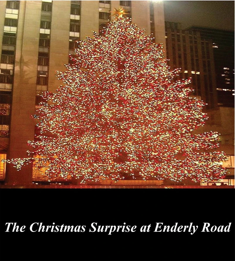 The Christmas Surprise at Enderly Road