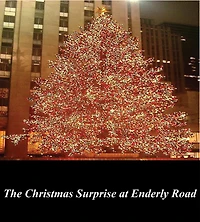 The Christmas Surprise at Enderly Road