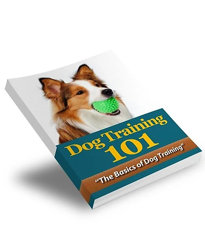 Dog Training 101