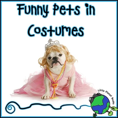 Funny Pets in Costumes