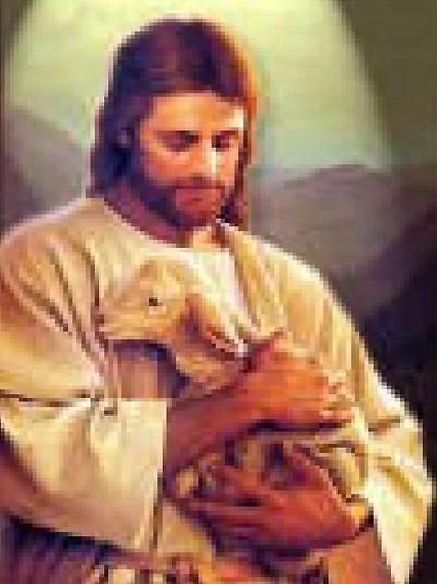 The Shepherd