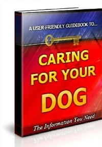 Caring For Your Dog