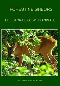 Forest Neighbors (Illustrated)