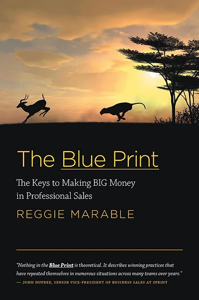 The Blue Print: Keys to Making BIG Money Professional Sales