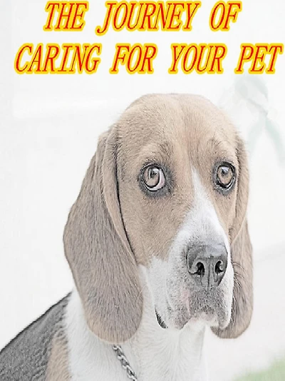 THE JOURNEY OF CARING FOR YOUR PET