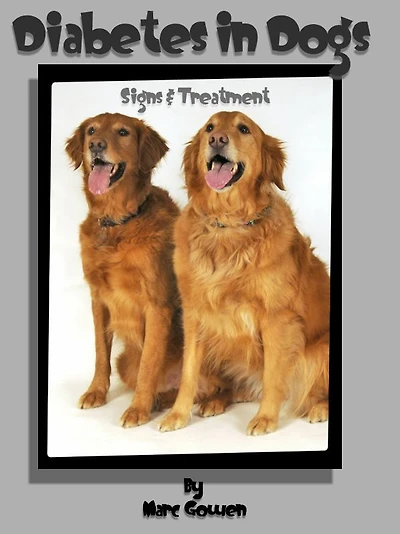 Diabetes in Dogs: Signs & Treatment