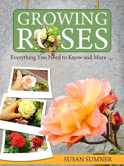 Growing Roses - Everything You Need to Know and More .