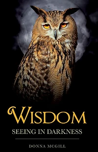 Wisdom Seeing Darkness