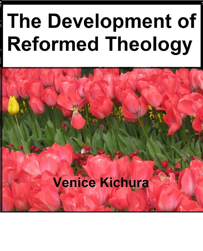 The Development of Reformed Theology