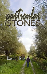 Particular Stones