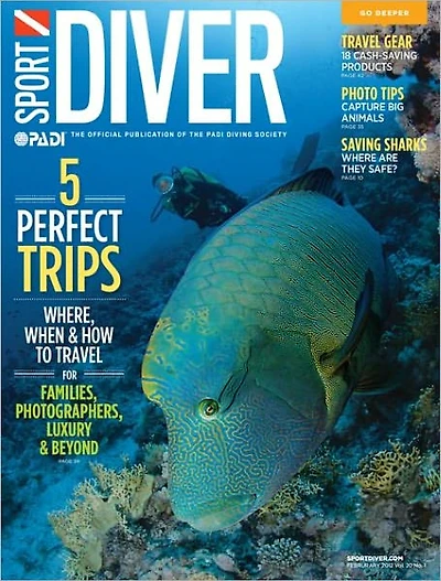 Sport Diver